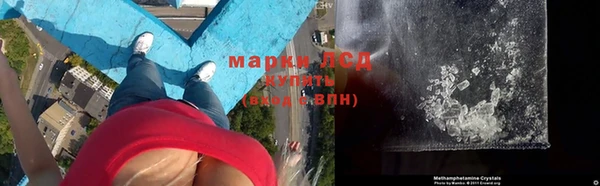 крисы Алзамай