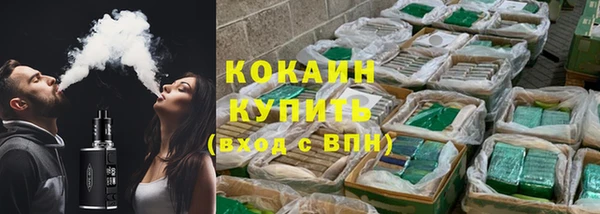 сатива Нея