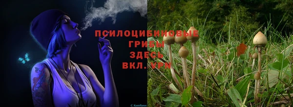 прущие крисы Алексеевка